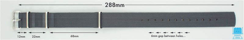 Phoenix Admrialty Grey Nylon Strap
